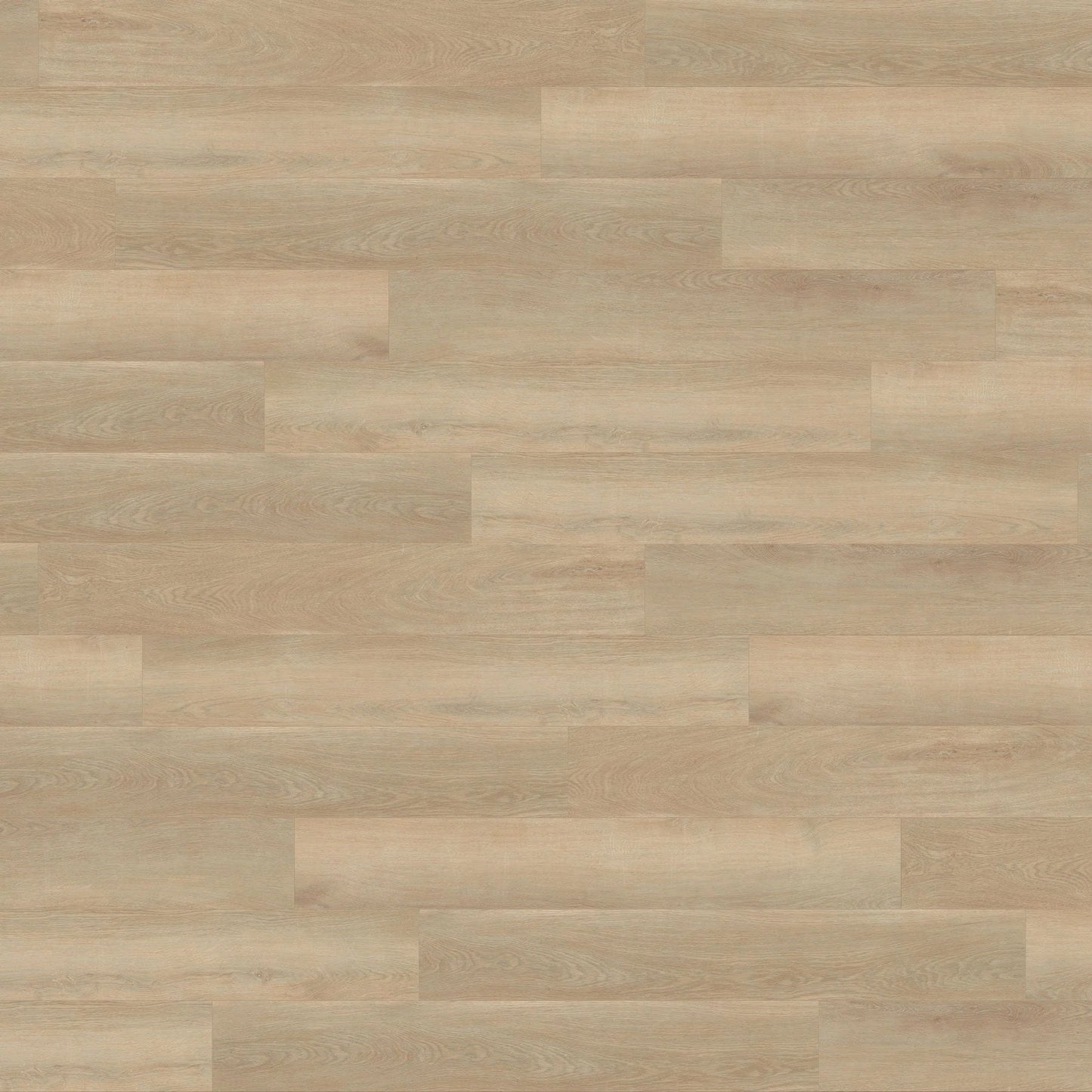 70 X PACKS (119.7M²) BRAMPTON CHASE STUDIO DESIGNS BLONDE OAK RIGID CLICK LVT FLOORING – RRP £5,600