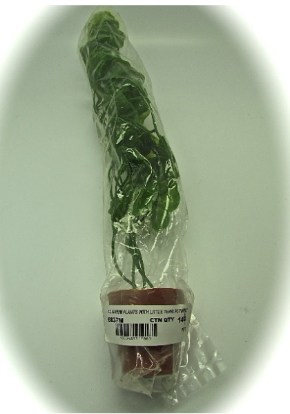 144 X AQUARIUM PLANTS & LITTLE TERRI POT