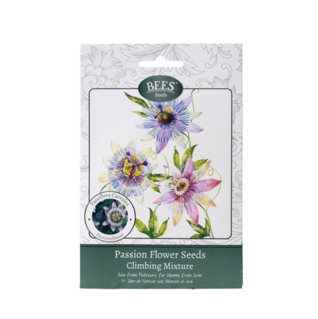 800 X NEW BEES SEEDS PASSION FLOWER