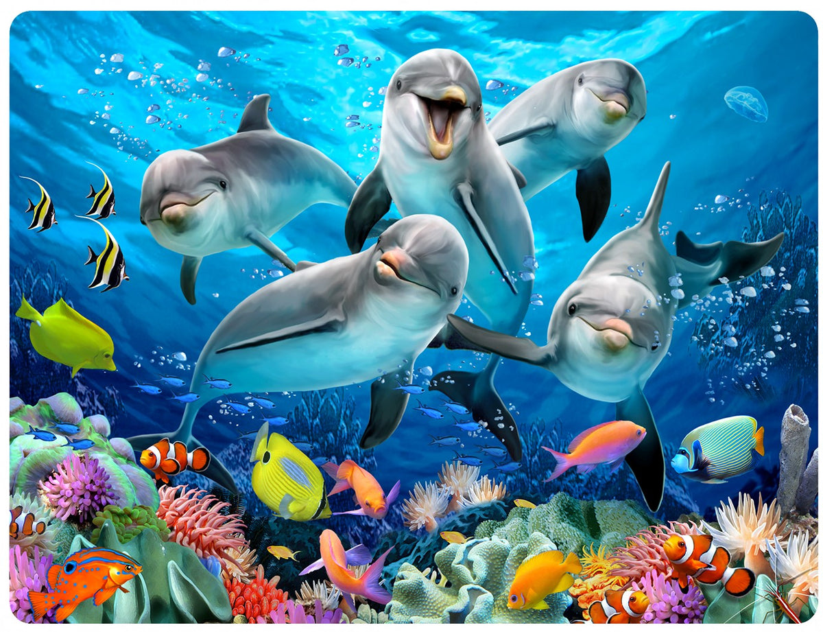 DOLPHINS DELIGHT 3D EFFECT POSTCARDS X 20 UNITS