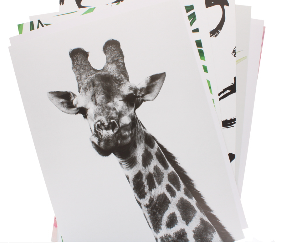 180 X A3 POSTER FRAME 29.7X42CM DISPLAY BOX ASST