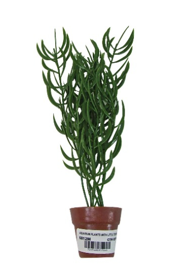 240 X AQUARIUM PLANTS &LITTLE TERRI POT
