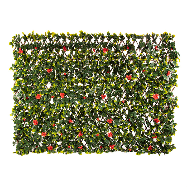 RED ROSE WILLOW TRELLIS