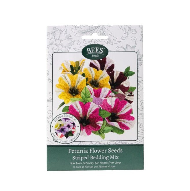 800 X NEW BEES SEEDS PETUNIA BEDDING STRIPED MIX