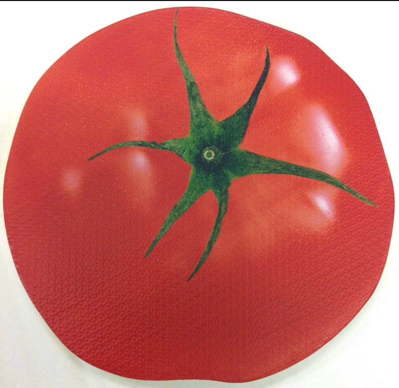 425 X NEW THICK FOAM GARDENING KNEELING PADS - 40 CM - TOMATO