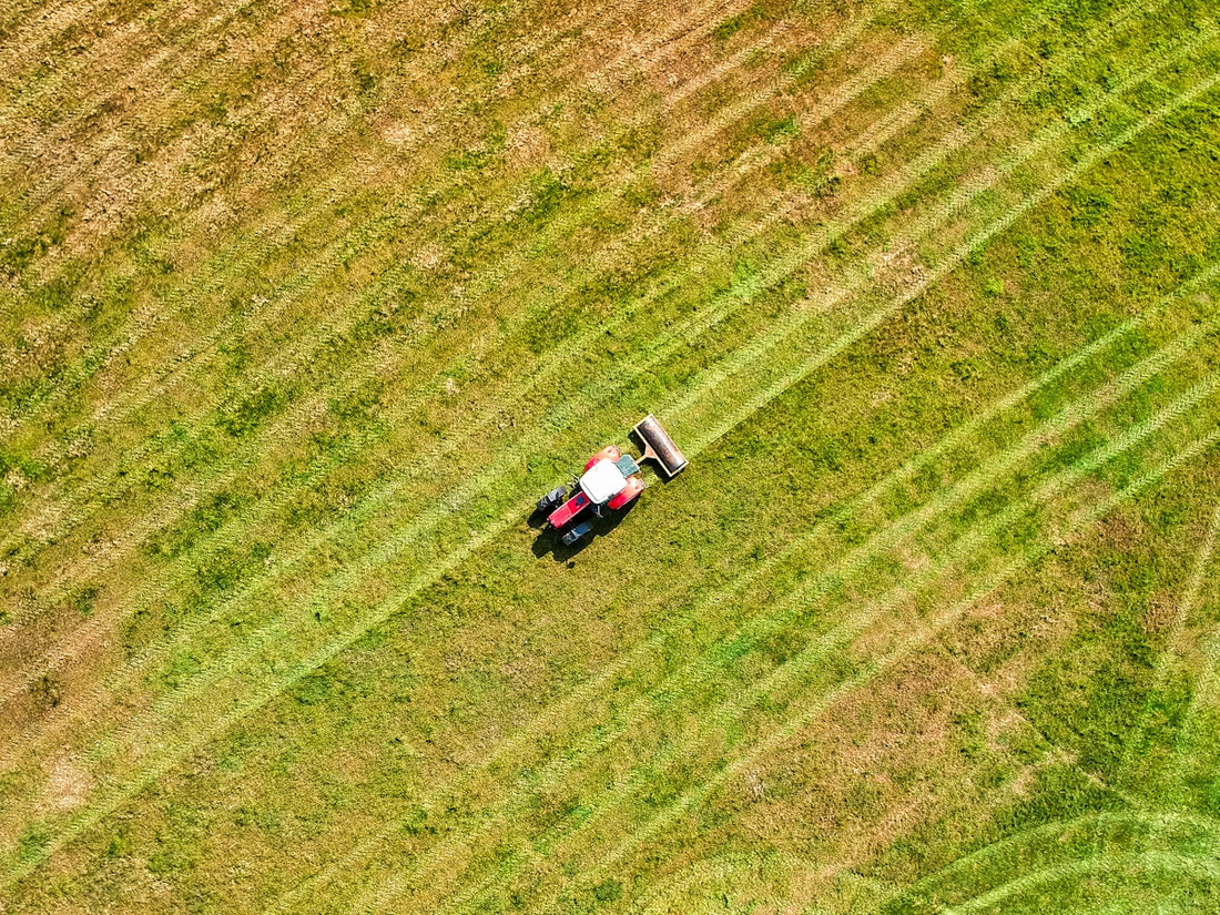 white and black truck on green grass field during daytime