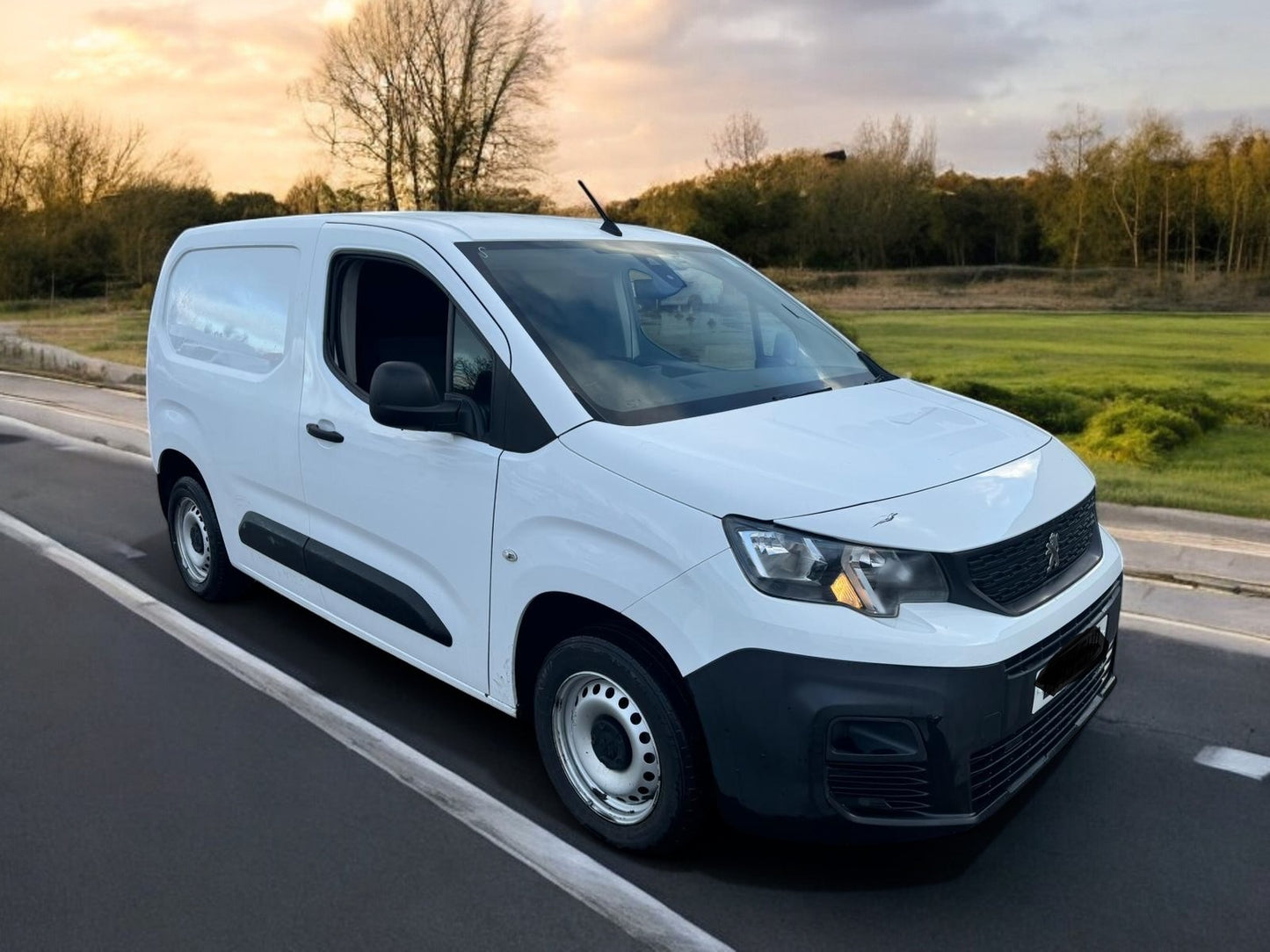 2019 PEUGEOT PARTNER S L1 BLUEHDI PANEL VAN