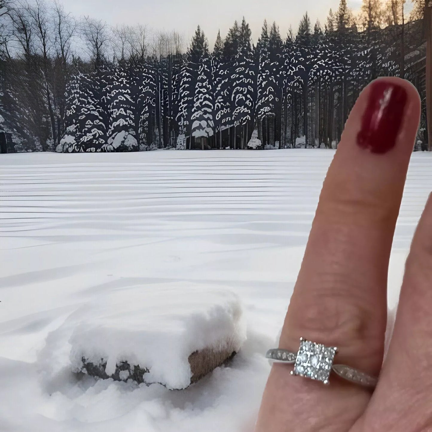 0.33CT DIAMOND CLUSTER RING. 9CT WHITE GOLD SIZE M