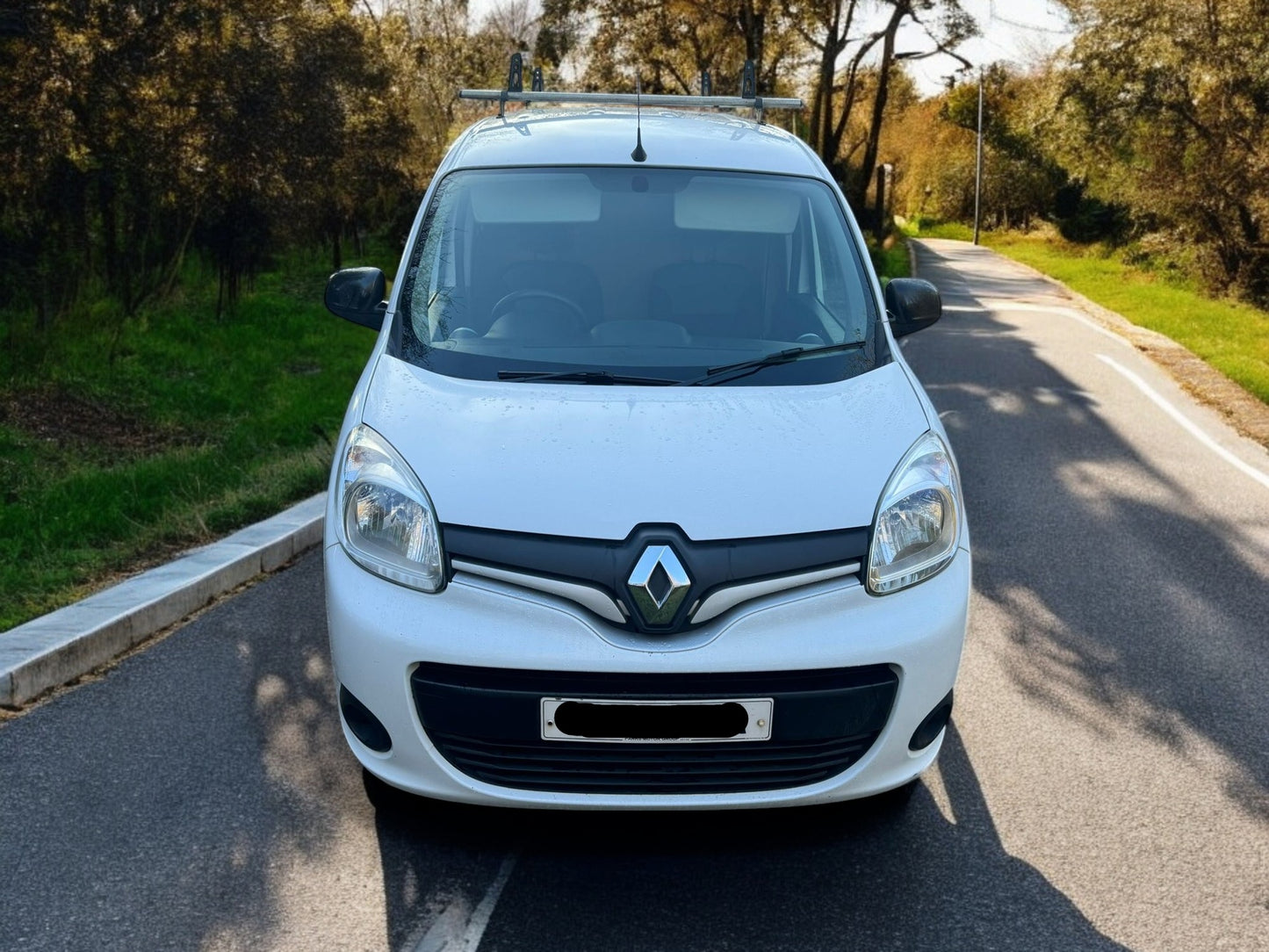 2019 RENAULT KANGOO 1.5 DCI BUSINESS+ EURO 6 PANEL VAN