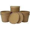 1000 12OZ BROWN KRAFT DISPOSABLE SOUP CONTAINERS WITH LIDS - IDEAL FOR ICE CREAM TUBS AND SOUP BOWLS