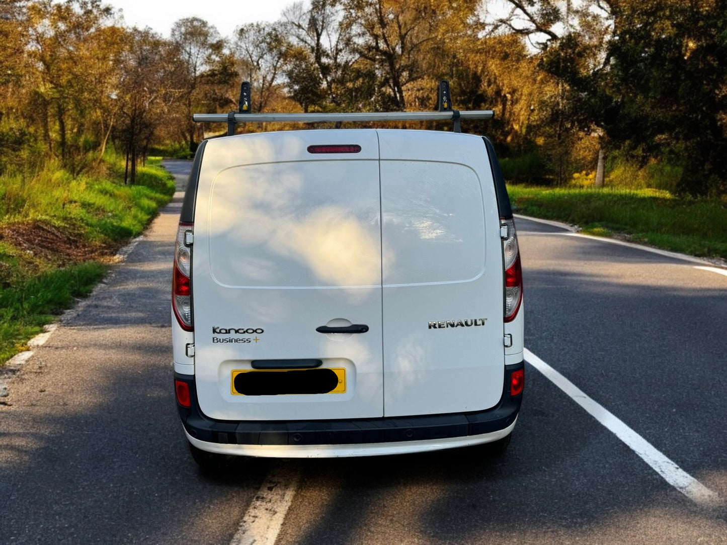 2019 RENAULT KANGOO 1.5 DCI BUSINESS+ EURO 6 PANEL VAN