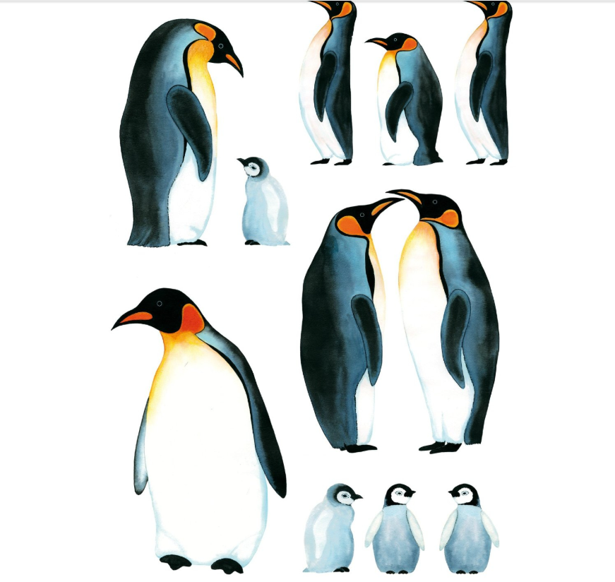 300 X WALL DECO TATTOO- PENGUIN