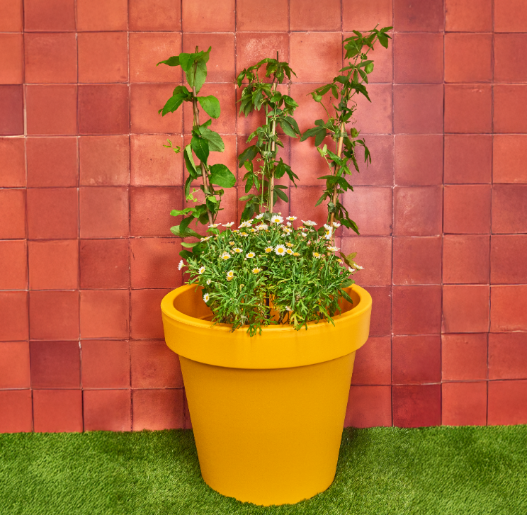 345X NEW PLANTERS PRIDE | AURA | 47CM PLANTER | ORANGE