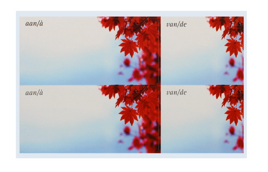 750 X ENVELOPE LABELS