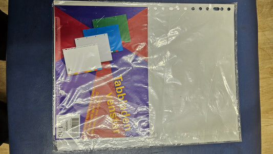 99 PC X10 DIVIDERS WITH WINDOW TABS