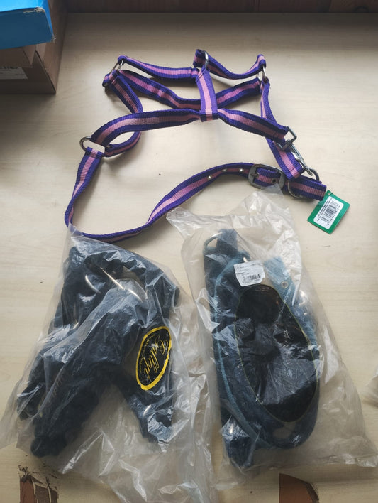 MIXED BRANDED - EQUSTRIAN HEAD COLLARS - COB AND PONY - MIXED COLOURS -NEW WITH TAGS