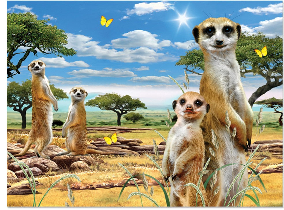 MEERKATS 3D EFFECT POSTER X 12 UNITS