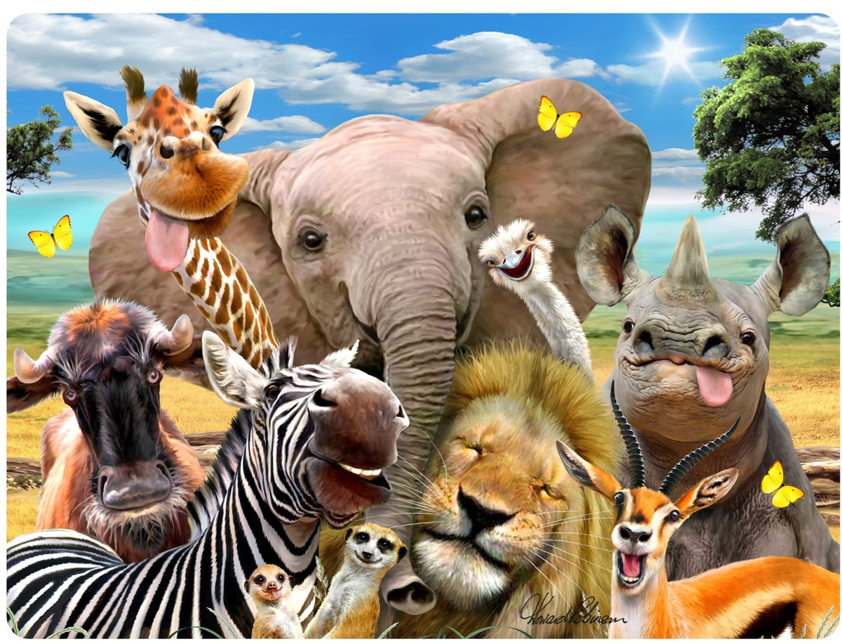 AFRICA SELFIES 3D EFFECT POSTCARDS X 20 UNITS