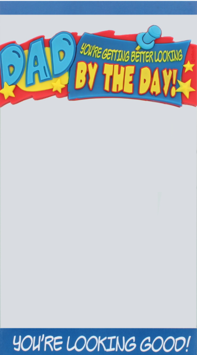 160 X DAD FUN MIRROR ASST DESIGN