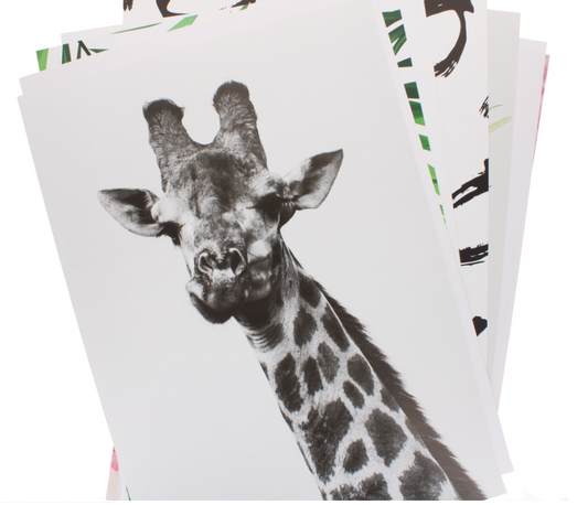 180 X A3 POSTER FRAME 29.7X42CM DISPLAY BOX ASST