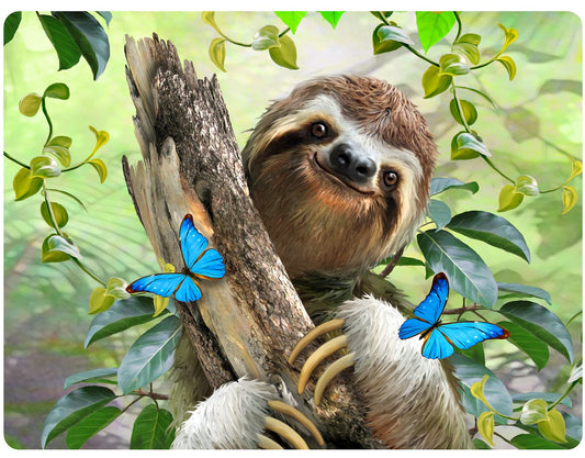 SLOTH SELFIE 3D EFFECT POSTCARDS X 20 UNITS