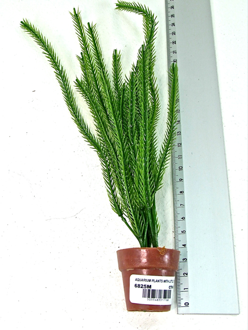 192 X AQUARIUM PLANTS &LITTLE TERRI POT