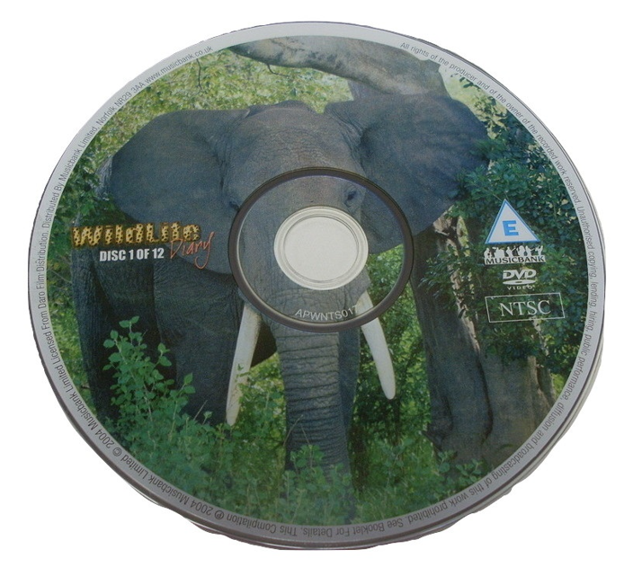 500 X WILDLIFE ELEPHANT DIARY DISC 1 OF 12