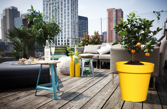 352X NEW FLOWER POT - YELLOW DLOF500-116C