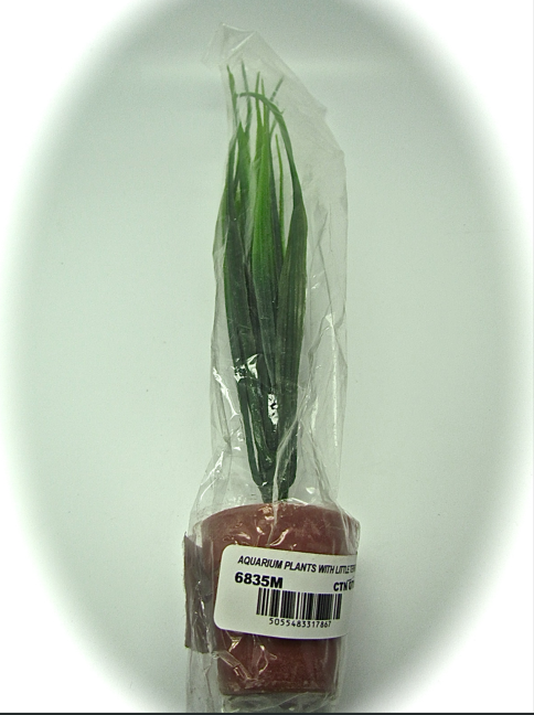 96 X AQUARIUM PLANTS &LITTLE TERRI POT