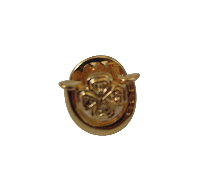 5150 X SHAMROCK CELTIC HORSESHOE BROOCH