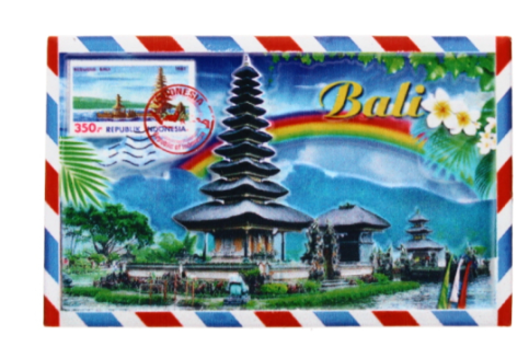 288 X FRIDGE MAGNET BALI
