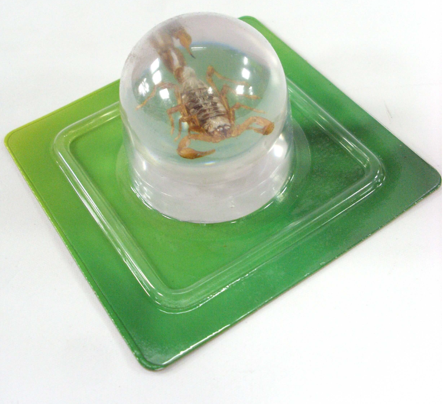135 X MARBLE BALL DECORATION SCORPION
