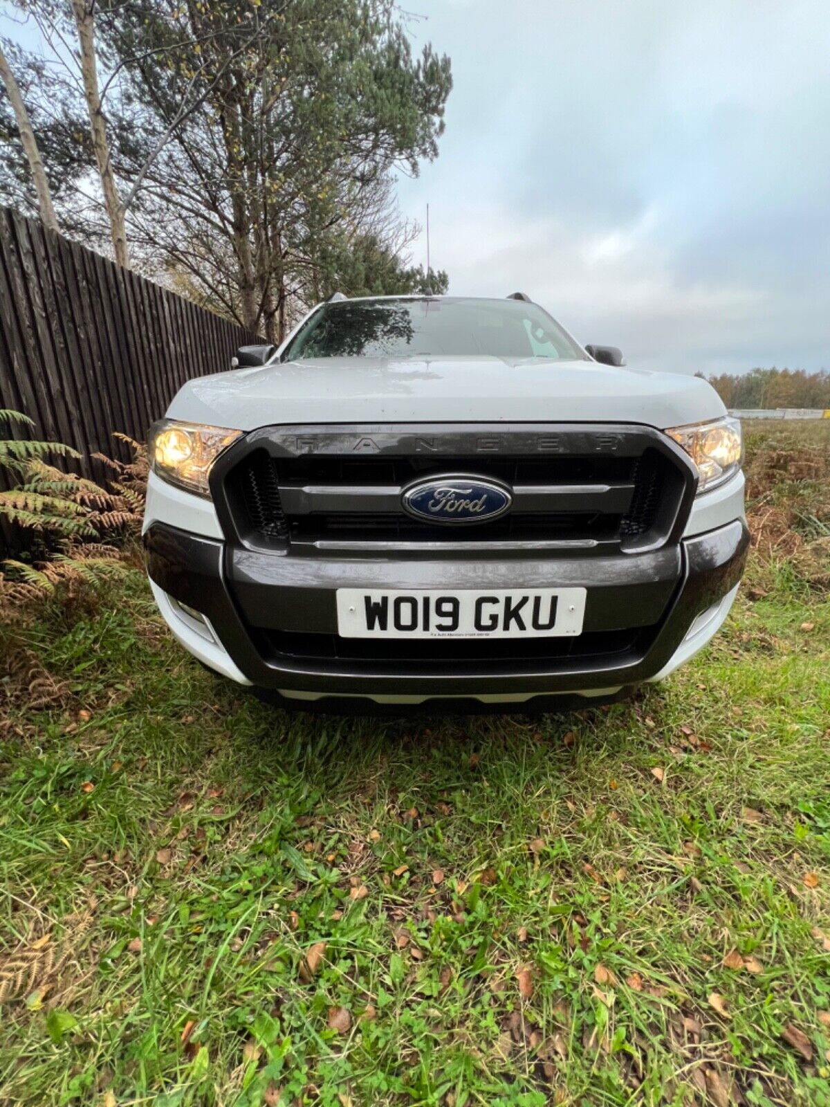 Bid on 2019 MANUAL 6 SPEED FORD RANGER WILDTRAK 3.2 2019 MANUAL EURO6- Buy &amp; Sell on Auction with EAMA Group